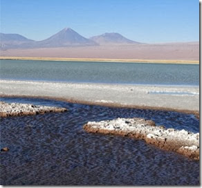Salar de Atacama Autora Claudia Liechavicius