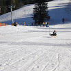 wild08No13.jpg