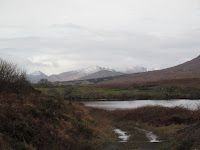 IMG_2915.JPG Photo
