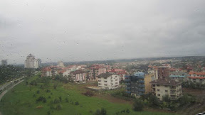 IMG_1398.JPG