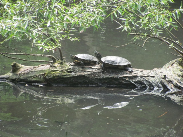 [IMG_8277%255B2%255D.jpg]