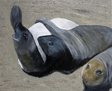 sealions