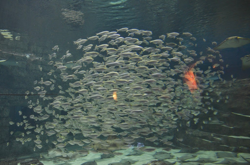 [DSC_8491%255B3%255D.jpg]