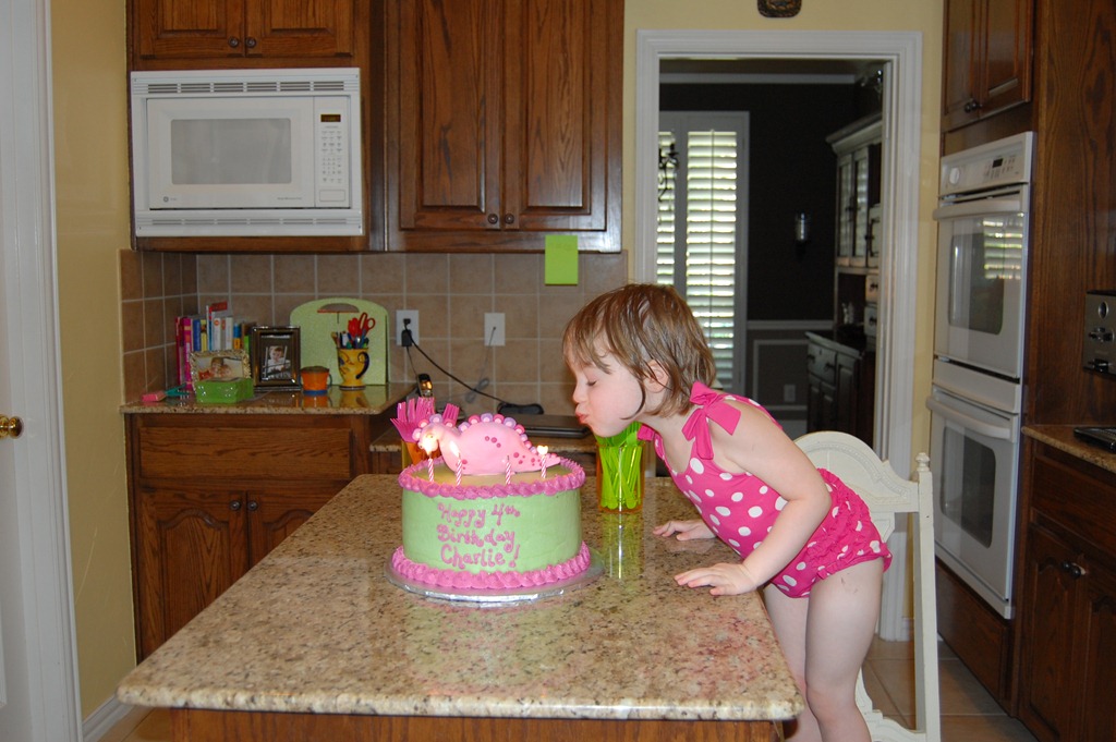 [charliedinoparty%2520075%255B4%255D.jpg]
