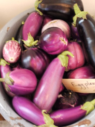 chase_aubergine chase_aubergine