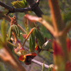 do sprawdzenia 3 048.jpg