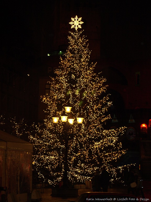 [%25C3%2596verf%25C3%25B6ring%2520av%2520bilder%2520E-510%252020091217%2520094%255B12%255D.jpg]