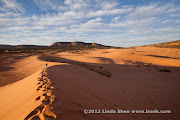 Coral Pink Sand Dunes State Park, Utah