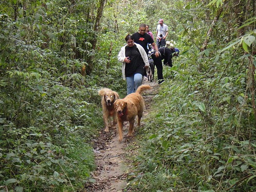 [Patas%252022%2520%2528175%2529%255B4%255D.jpg]