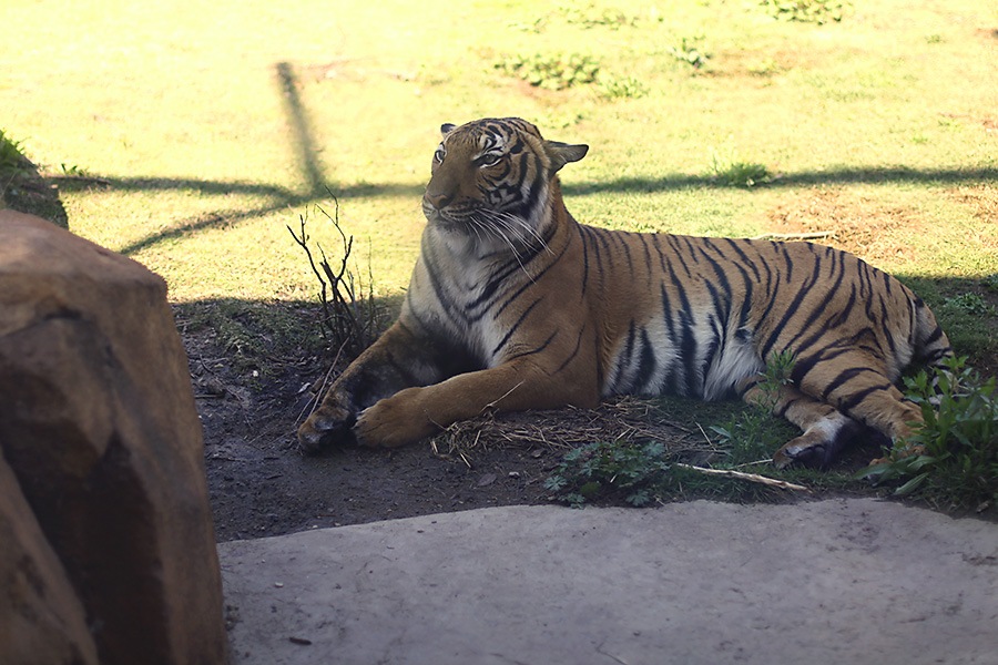 [IMG_2580w46%255B1%255D.jpg]