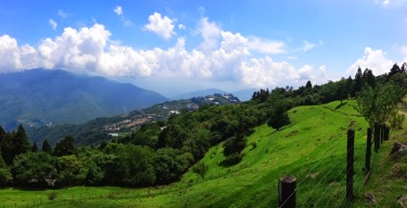 beautiful-grassland.JPG Beautiful