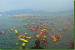 IMG_0411 IMG_0411