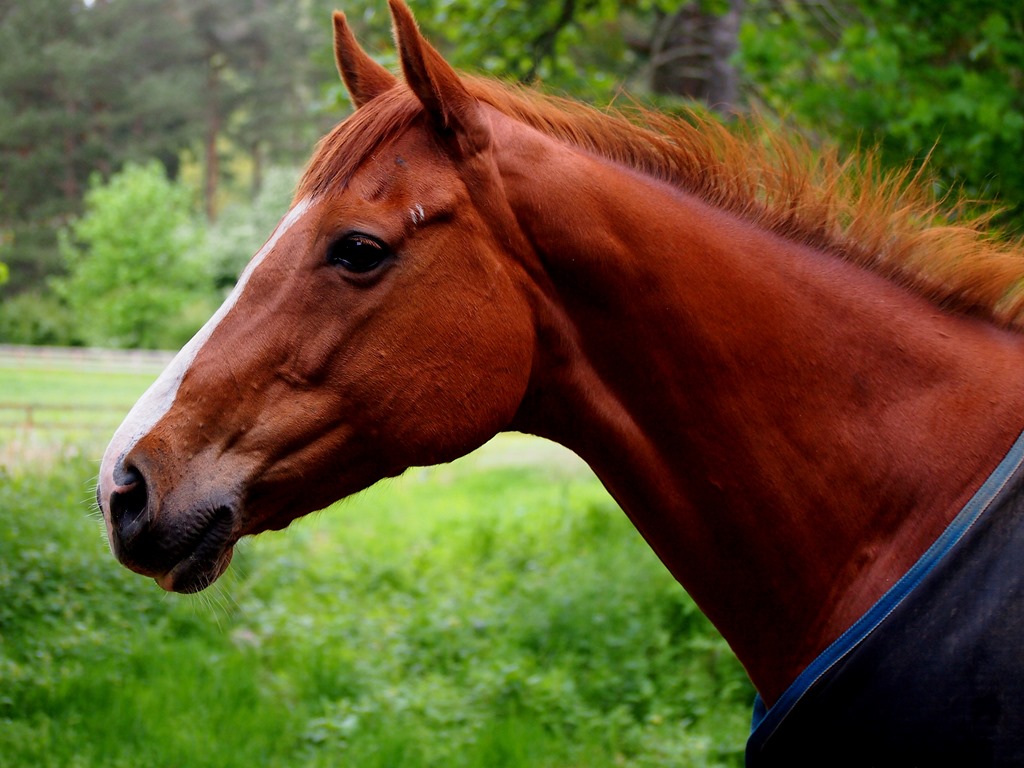 [22%2520May%25202%255B3%255D.jpg]