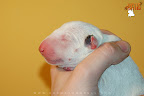 Boy 6 - day 1