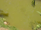 DSC05128.jpg