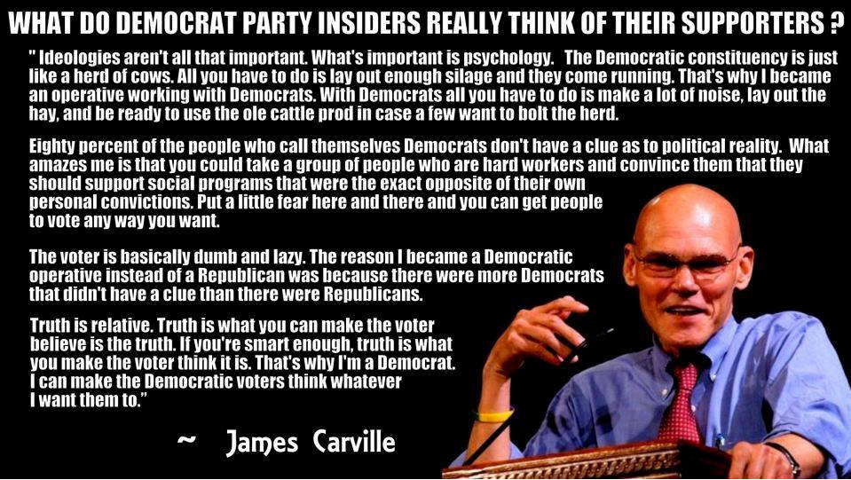 [james-carville-quote.%2520constituents%255B4%255D.png]
