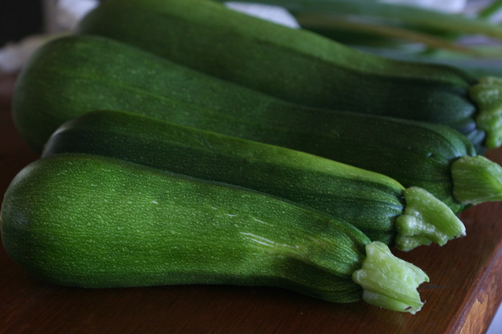 [garden%2520zucchini%255B4%255D.jpg]