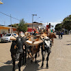DesfiledeCarrosdeBois2011-010.jpg