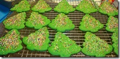 cookie24 cookie24