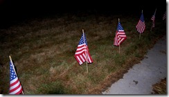 flags