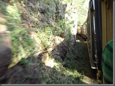Nilgiri Mountain Railway 17