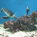 IMG_2795.JPG