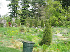 Looking up toward the ruin garden, this gentle slope is planted with more gravel loving and prairie plants.