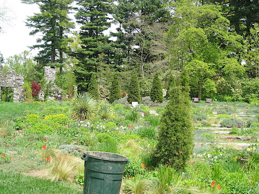 Looking up toward the ruin garden, this gentle slope is planted with more gravel loving and prairie plants.