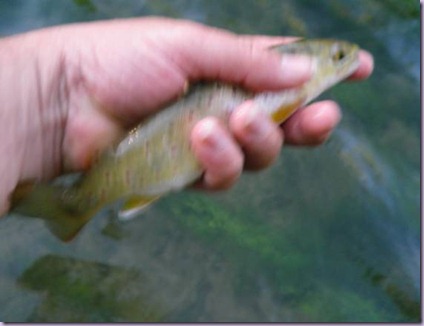 clip_image008 clip_image008