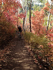 ParkCity_001.jpg