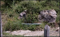 Fonte dei Biancheti Fonte dei Biancheti