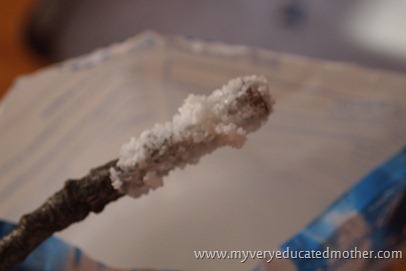 www.myveryeducatedmother.com Epsom Salt Snowflakes @mvemother Epsom Salt dipped twigs used to make snowflakes