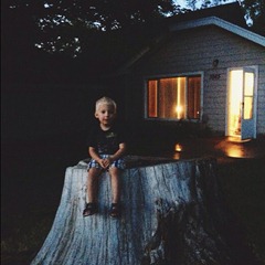 treestomp3 treestomp3