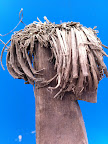 Rasta Peg