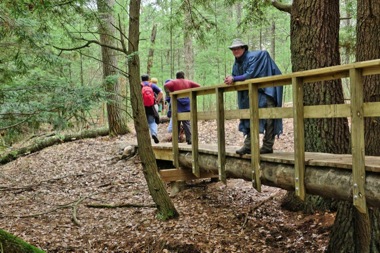 Cold Creek Bridge 2