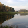 dsc06108.jpg