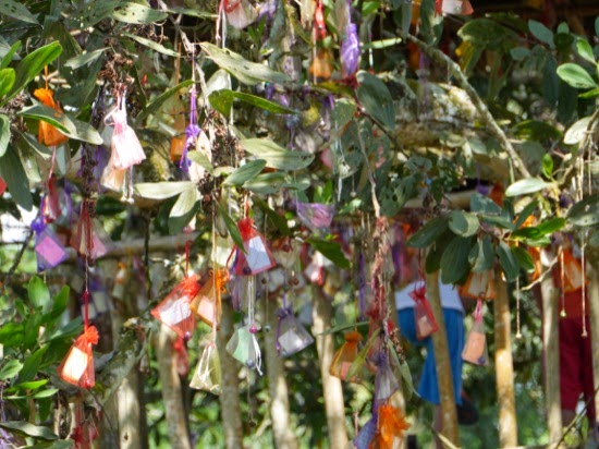P1140051.jpg UK Farms - Wishing tree..