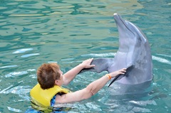 Barb And Dolphin Dance