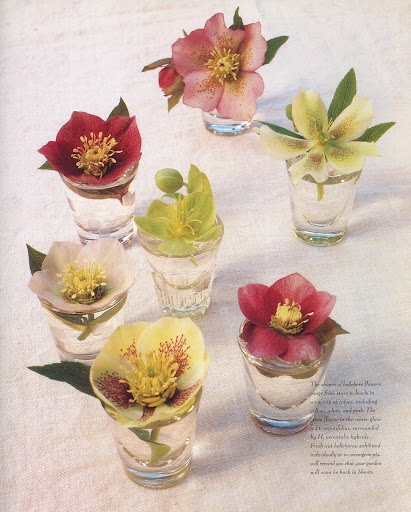 (The Best of Martha Stewart Living -- Arranging Flowers)