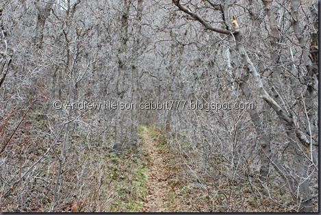 IMG_2387 IMG_2387