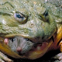 @ 10 curiosidades interessantes que provavelmente você não sabia @ 10 curiosidades interessantes que provavelmente você não sabia