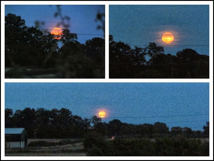 8 Moon Red 8 Moon Red