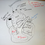 my_heart_drawing_board.jpg my_heart_drawing_board.jpg