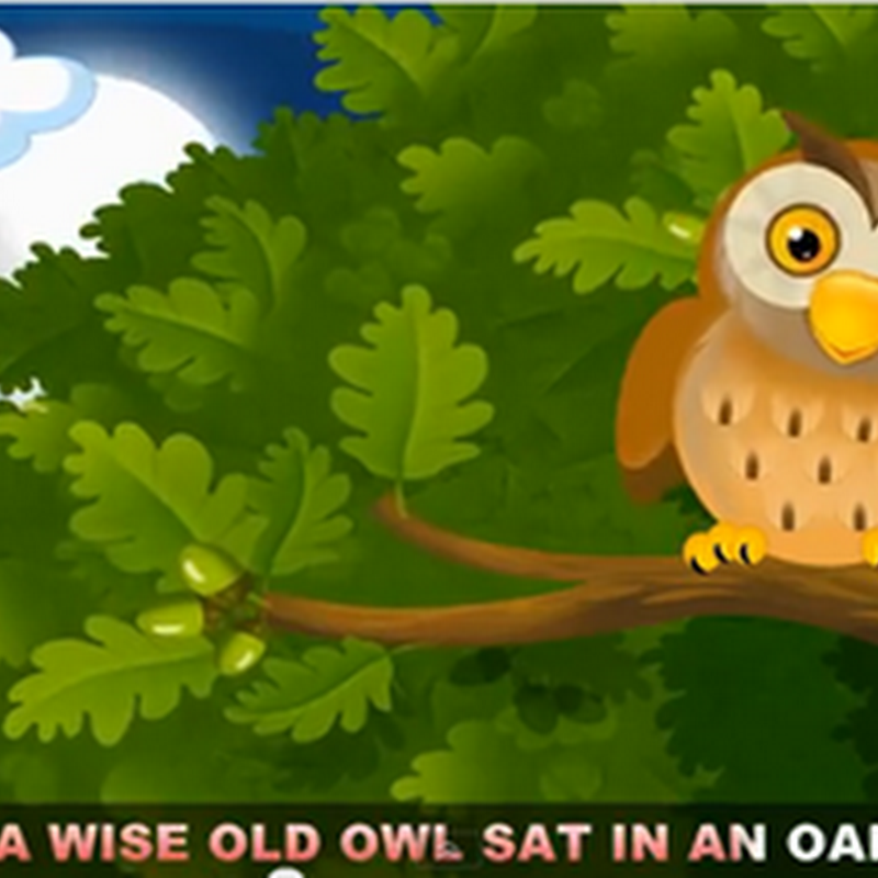 Rimas en inglés para niños A wise old owl