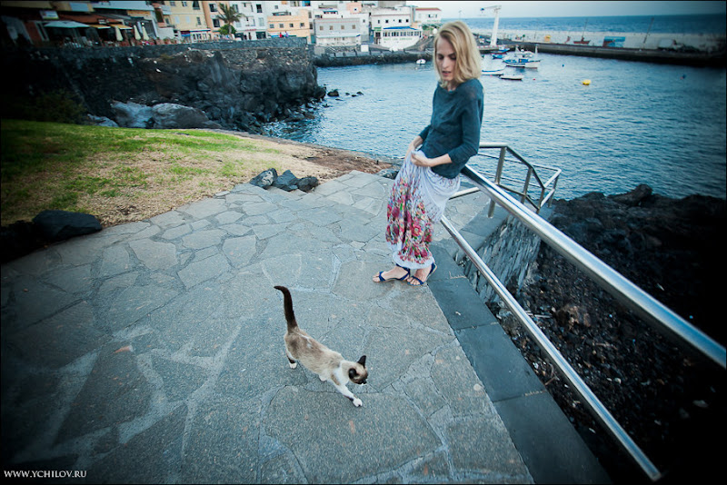 126 www.ychilov.ru foto tenerife.jpg