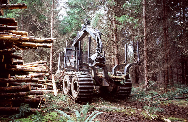 The Dirty Hands People - This empty Timberjack forwarder is working on a Tree Farm north of Roseburg, Oregon. Forwarders move through harvested stands picking up trees which they then deck at centralized locations for later reloading on logging trucks that haul the trees to nearby sawmills. Note the almost complete lack of soil disturbance. Despite its size and weight, this machine has a lighter footprint - measured in pounds per square inch - than that of a walking man.
