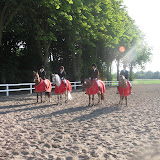 Holdmesterskab i dressur 7-8. juni 2008