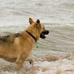 Lake Huron-55.jpg