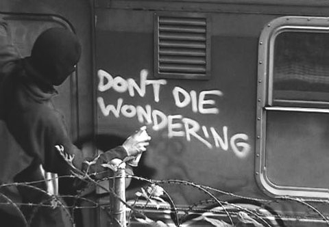 dont_die_wondering_quote