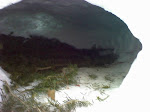 01-10-09_0954.jpg